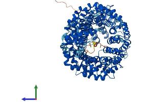 Protein Structure (PS) image for Transportin 1 (TNPO1) (AA 1-898) protein (His tag) (ABIN7555813)