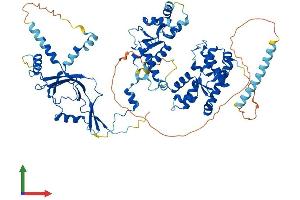 AlphaFold protein structure predicition of Mouse Recombinant Polr3e Protein, UniprotID Q9CZT4 (POLR3E Protein (AA 1-710) (His tag))