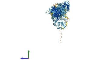 AlphaFold protein structure predicition of Human Recombinant MEI1 Protein, UniprotID Q5TIA1 (MEI1 Protein (AA 1-1274) (His tag))
