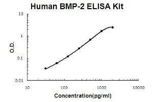 Human BMP-2 PicoKine ELISA Kit standard curve