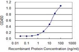 Detection limit for recombinant GST tagged ZNF187 is 0. (ZNF187 antibody  (AA 1-325))