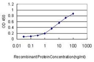 Detection limit for recombinant GST tagged KIF2C is approximately 0. (KIF2C antibody  (AA 1-100))