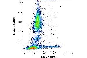 Flow cytometry surface staining pattern of human peripheral whole blood stained using anti-human CD57 (TB01) APC antibody (10 μL reagent / 100 μL of peripheral whole blood).