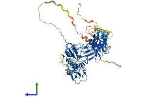 AlphaFold protein structure predicition of Mouse Recombinant Dtx1 Protein, UniprotID Q61010