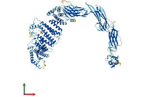 Protein Structure (PS) image for Trafficking Protein Particle Complex 11 (TRAPPC11) (AA 1-1133) protein (His tag) (ABIN7555803)