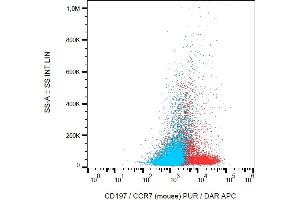 Flow cytometry surface staining pattern of murine splenocytes stained using anti-mouse CD197 (4B12) purified antibody (concentration in sample 4 μg/mL, DAR APC, red) and murine splenocytes unstained by primary antibody (DAR APC, blue). (CCR7 antibody)