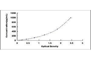 Typical standard curve (FBLN3 ELISA Kit)