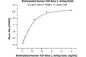 Immobilized Human TGFBR2, Fc Tag (ABIN2181812,ABIN2181811) at 5 μg/mL (100 μL/well) can bind Biotinylated Human  1, Avitag (ABIN6973277) with a linear range of 0. (TGFB1 Protein (AA 279-390) (AVI tag,Biotin))