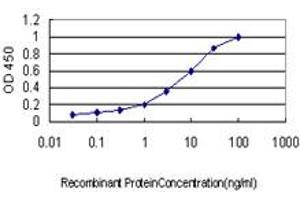 Detection limit for recombinant GST tagged EXT2 is approximately 0. (EXT2 antibody  (AA 216-315))