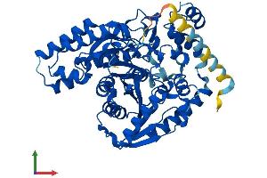 Protein Structure (PS) image for Fatty Acid Amide Hydrolase 2 (FAAH2) (AA 1-532) protein (His tag) (ABIN7547556)