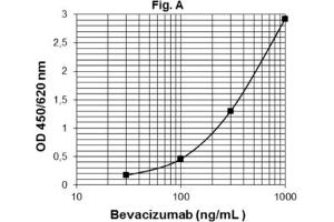 ELISA image for Bevacizumab ELISA Kit (ABIN2862651) (Bevacizumab ELISA Kit)