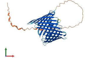AlphaFold protein structure predicition of Human Recombinant TOMM40 Protein, UniprotID O96008 (TOMM40 Protein (AA 1-361) (His tag))