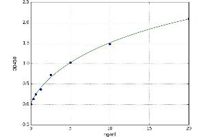 Hexosaminidase A (HEXA) ELISA Kit