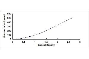 Typical standard curve (Vimentin ELISA Kit)