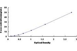 Typical standard curve (MAT1A ELISA Kit)