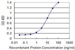 Detection limit for recombinant GST tagged ZNF23 is 0. (ZNF23 antibody  (AA 41-139))