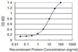 Detection limit for recombinant GST tagged ZNF23 is 0. (ZNF23 antibody  (AA 41-139))