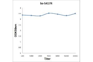 Antigen: 2 µg/100 µL  Primary: Antiserum, 1:500, 1:1000, 1:2000, 1:4000, 1:8000, 1:16000, 1:32000;  Secondary: HRP conjugated Rabbit Anti-Goat IgG at 1: 5000;  TMB staining Read the data in Microplate Reader by 450nm. (tau antibody  (pSer199))