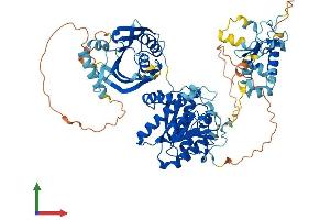 AlphaFold protein structure predicition of Mouse Recombinant Trmt44 Protein, UniprotID Q9D2Q2