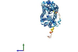 Protein Structure (PS) image for Solute Carrier Family 22 (Organic Anion/urate Transporter), Member 12 (SLC22A12) (AA 1-553) protein (His tag) (ABIN7559315)