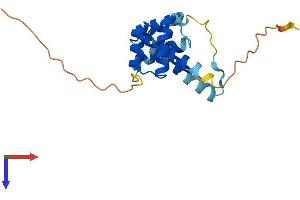 AlphaFold protein structure predicition of Human Recombinant DUX1 Protein, UniprotID O43812 (DUX1 Protein (AA 1-170) (His tag))