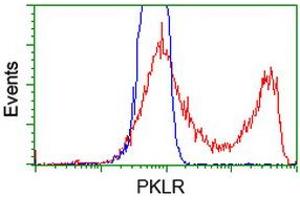 HEK293T cells transfected with either RC206455 overexpress plasmid (Red) or empty vector control plasmid (Blue) were immunostained by anti-PKLR antibody (ABIN2453475), and then analyzed by flow cytometry. (PKLR antibody)