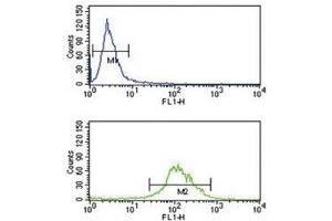 TAT antibody flow cytometry analysis of K562 cells (green) compared to a negative control (blue). (Tat (AA 279-306) antibody)
