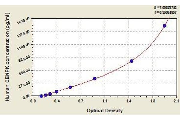 CENPK ELISA Kit