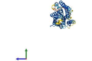 Protein Structure (PS) image for Thromboxane A2 Receptor (TBXA2R) (AA 1-343) protein (His tag) (ABIN7544153)