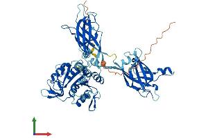 AlphaFold protein structure predicition of Mouse Recombinant Cpne8 Protein, UniprotID Q9DC53