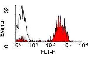 Image no. 1 for anti-Major Histocompatibility Complex Class II Antigen (MHC2) antibody (FITC) (ABIN304830) (MHC Class II antibody  (FITC))
