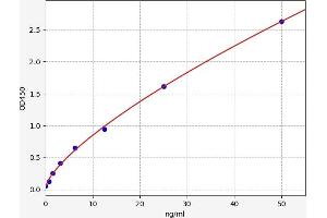 Typical standard curve (RGS19 ELISA Kit)