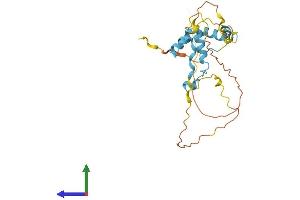 AlphaFold protein structure predicition of Human Recombinant CCDC71L Protein, UniprotID Q8N9Z2 (CCDC71L Protein (AA 1-235) (His tag))