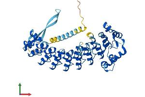 AlphaFold protein structure predicition of Mouse Recombinant Asb16 Protein, UniprotID Q8VHS5 (Ankyrin Repeat and SOCS Box Containing 16 (ASB16) (AA 1-453) protein (His tag))