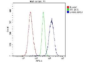 Flow Cytometry analysis of A549 cells using anti-Eph receptor A2 antibody (ABIN5693218).