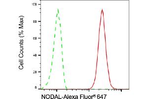Flow cytometric analysis of NODAL expression in H9c2 cells using NODAL antibody (ABIN7799614), 1:2,000). (Recombinant Nodal antibody)