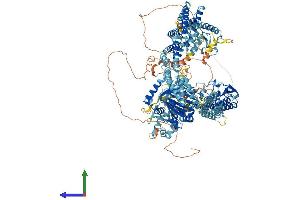 AlphaFold protein structure predicition of Human Recombinant KDM5D Protein, UniprotID Q9BY66