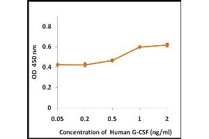Activity Assay (AcA) image for Colony Stimulating Factor 3 (Granulocyte) (CSF3) (Active) protein (ABIN5509310) (G-CSF Protein)