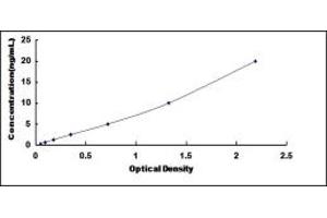 Typical standard curve (HSPA12B ELISA Kit)