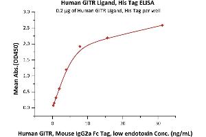 Immobilized Human GITR Ligand, His Tag (ABIN6810043,ABIN6938904) at 2 μg/mL (100 μL/well) can bind Human GITR, Mouse IgG2a Fc Tag, low endotoxin (ABIN5954930,ABIN6253588) with a linear range of 0. (TNFSF18 Protein (AA 50-177) (His tag))