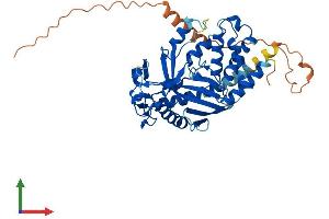 AlphaFold protein structure predicition of Mouse Recombinant Mab21L3 Protein, UniprotID Q8CI17 (MAB21L3 Protein (AA 1-429) (His tag))