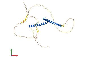 AlphaFold protein structure predicition of Mouse Recombinant Olig3 Protein, UniprotID Q6PFG8 (OLIG3 Protein (AA 1-273) (His tag))