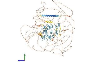 AlphaFold protein structure predicition of Human Recombinant SALL3 Protein, UniprotID Q9BXA9 (SALL3 Protein (AA 1-1300) (His tag))
