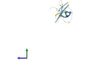 AlphaFold protein structure predicition of Human Recombinant RNF40 Protein, UniprotID O75150 (RNF40 Protein (AA 1-1001) (His tag))