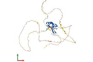 AlphaFold protein structure predicition of Human Recombinant RBFOX2 Protein, UniprotID O43251