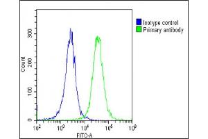 Overlay histogram showing Hela cells stained with (ABIN6243894 and ABIN6578868)(green line). (MYL1 antibody  (AA 101-135))