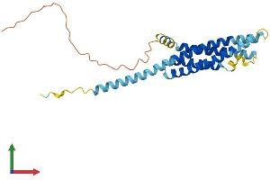 Protein Structure (PS) image for Membrane-Spanning 4-Domains, Subfamily A, Member 2 (Fc Fragment of IgE, High Affinity I, Receptor For, beta Polypeptide) (MS4A2) (AA 1-244) protein (His tag) (ABIN7547662)
