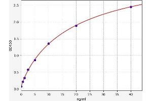 Typical standard curve (LOX ELISA Kit)