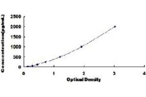 Typical standard curve (BMP1 ELISA Kit)