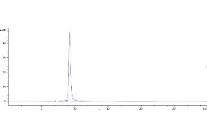 anti-Triggering Receptor Expressed On Myeloid Cells 2 (TREM2) antibody